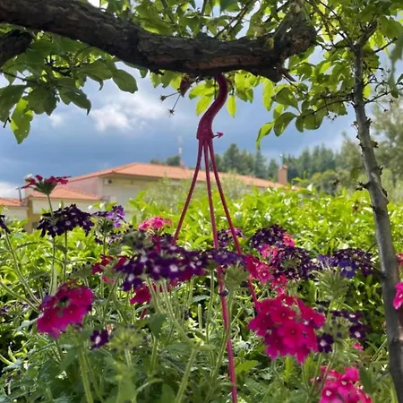 Sun Sight アパート ペフコホリ