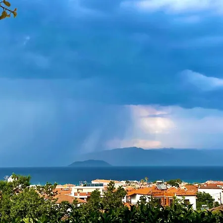 Sun Sight ペフコホリ